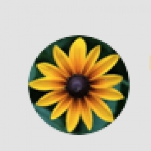 Your current avatar
